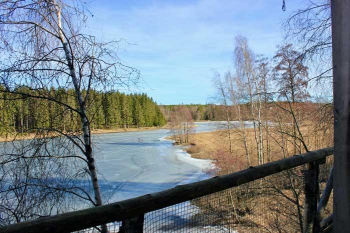 Tretopphytter På Grensen - Beverhytta Halden Eksteriør bilde